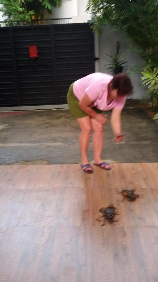 Vero Homestay Galle- Your Home Away From Home! エクステリア 写真